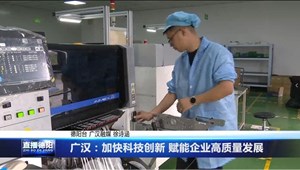 广汉：加快科技创新 赋能企业高质量发展