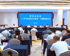 市政协召开“上半年经济运行”专题协商会议