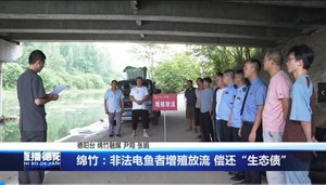 绵竹：非法电鱼者增殖放流 偿还“生态债”