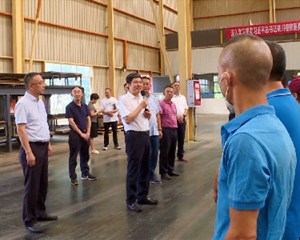 市领导率队赴罗江区开展宣讲调研