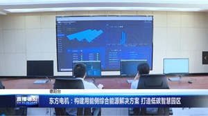 东方电机：构建用能侧综合能源解决方案 打造低碳智慧园区