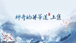 少年苏东坡传奇 001 《神奇的并蒂莲 上集》