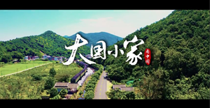 大国小家