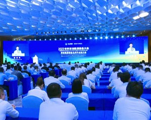 搭建平台 助力德阳清洁能源装备“出海”
