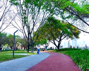 德阳：加强生态文明建设战略定力 率先建成西部现代公园城市