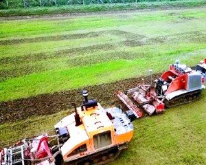 德阳：打造现代农业西部示范区 建设更高水平“天府粮仓”