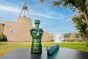作为指定酒类赞助商，剑南春香飘2023世界清洁能源装备大会！