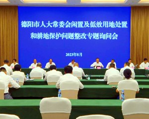 市人大常委会举行闲置及低效用地处置和耕地保护问题整改专题询问会 
