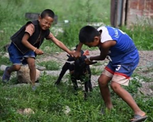 读游光辉先生纪实图记丨九皋