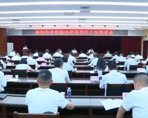 德阳市乡村振兴联系帮扶工作推进会召开
