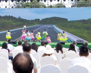 “甜蜜”产业喜丰收 甜了生活富了民