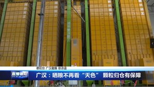 广汉：晒粮不再看“天色” 颗粒归仓有保障