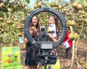 旌阳：科技赋能特色水果产业高质量发展
