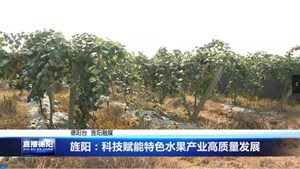 旌阳：科技赋能特色水果产业高质量发展