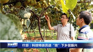 什邡：科技特派员送“技”下乡促振兴