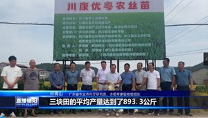 中江辑庆：新品种水稻最高亩产达909.4公斤 达到丘陵地区顶端水平