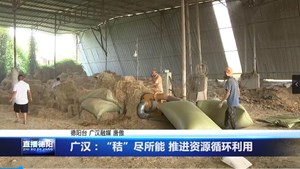 广汉：“秸”尽所能 推进资源循环利用