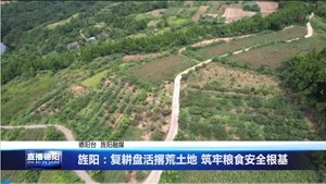 旌阳：复耕盘活撂荒土地 筑牢粮食安全根基