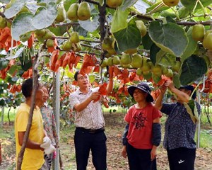 什邡：科技特派员送“技”下乡  助力乡村振兴