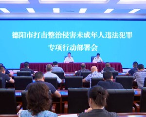 全市打击整治侵害未成年人违法犯罪专项行动部署会召开