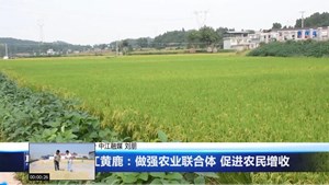中江黄鹿：做强农业联合体 促进农民增收