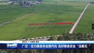 广汉：全力推进农业现代化 当好粮食安全“压舱石