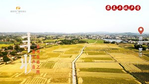 丰收最美的声音系列报道之四