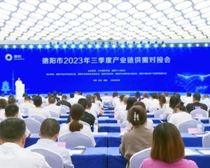 德阳市2023年三季度产业链供需对接会举行