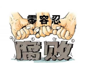 严查新型腐败，德阳这起案件被央视报道