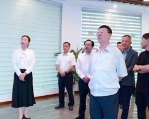 切实抓好不正之风和腐败问题整治 坚决打击生态环境等领域犯罪行为