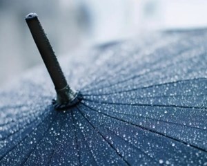一眼望去全是雨雨雨！