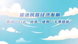 促进民营经济发展 四川"1+2"政策、德阳"十条措施"