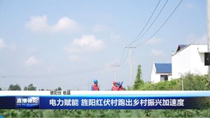 电力赋能 旌阳红伏村跑出乡村振兴加速度