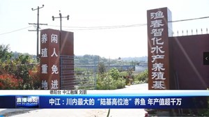 中江：川内最大的“陆基高位池”养鱼 年产值超千万
