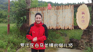 国庆游德阳｜打卡罗江猫儿顶