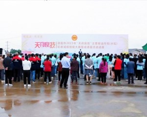 德阳：稻田摆擂台 以赛促训保增收