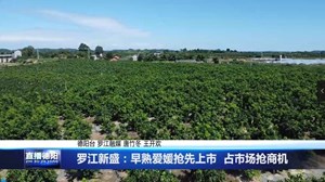 罗江新盛：早熟爱媛抢先上市  占市场抢商机