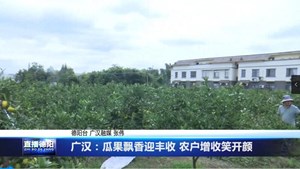 广汉：瓜果飘香迎丰收 农户增收笑开颜