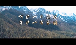火灾警示片 | 呵护一篇森林 守护一方家园