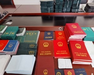 “一条龙”制售假证 超市老板竟是团伙主犯