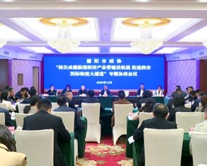 市政协召开专题协商会议