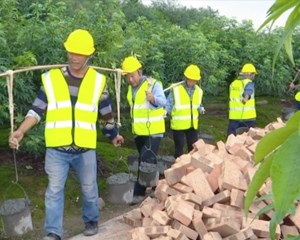 德阳：“以工代赈”惠民生 铺就产业致富路