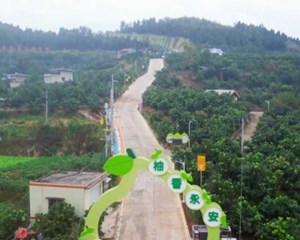 金秋丰收采摘忙 “甜蜜”产业助振兴