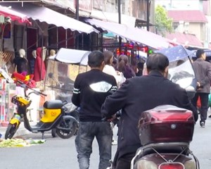 罗江：奇葩“窃贼”上演现实版“猴子掰玉米”