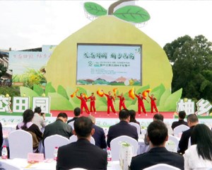 中江：柚子采摘节开幕 以节促旅打造柚乡永安