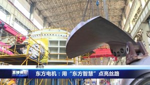 东方电机：用“东方智慧”点亮丝路