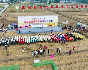 绵竹：田间搭擂台 运动会“丰收味儿”