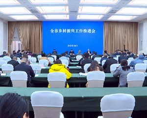 全力以赴完成年度各项目标任务 促进农业高效发展乡村全面振兴