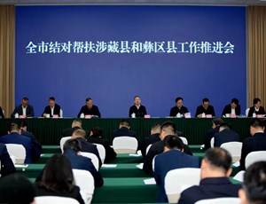 扎实做好结对帮扶涉藏县和彝区县工作 推动各项帮扶措施落到实处见到实效