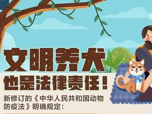 德阳哪些犬只可以养？违规饲养要承担哪些法律责任？一文带你看懂！